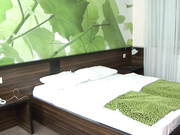 饭岛在三人行中与一只黑公鸡进行硬操上位