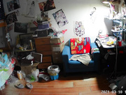 紫色纱裙丝袜侍候大爷玩舒服