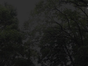 [DDK-231] 野外・不法投棄少女に連続中出し 白都四季 - 1of5