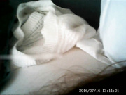 嫖妓大神高價約啪172上門服務的年輕羞澀商務兼職妹子 主動張開雙腿給操幹得操哭了 搞笑精彩對白 1080P高清原版