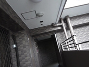 [MADV-574] 競泳水着NTR 長身で美脚な女子大生のハイレグ姿にフル勃起 結婚しているにも関わらず濃厚SEXで何度もイカされちゃいました 木下ひまり - 1of5