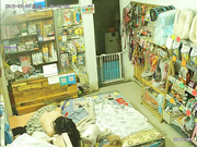 最新流出-居家攝像頭破解拍攝到的小賣部豐滿大奶老板娘被頹頭老公猛插 貌似還有小狗在旁邊舔屁股 720P高清原版