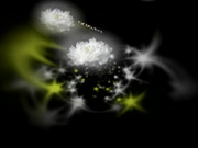 C0930 ki240629 古井 豊美 52歳