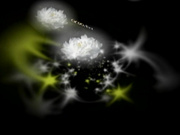 H4610 ki240721 酒井 恵美 26歳