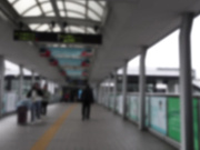 [LCW-048] セックスするなら断然、地方の人妻！ VOL.48 真白りま - 4of5