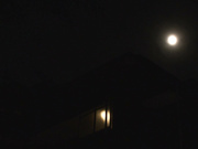 [ALDN-499] 妻友 いきなりナマがいい 藤咲紫 - 4of5