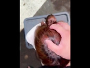 深夜带着老师马路中间户外无套3P母狗真是母狗太贱了