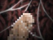 ストリンジェンド ～エンジェルたちのプライベートレッスン～ MY BLOW JOBER ACT.10