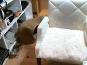 美女翹咪咪好身材真誘惑