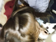 从生活 到做爱全过程，小女友吃着汉堡也不放过我 喊着要大爷鸡巴操1080P高清原版