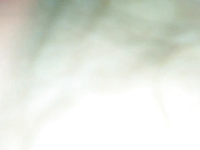 真實原創自拍系列之性感漂亮的台灣美眉與網友吃飯喝醉後帶入酒店任意玩弄 最後還爆菊花