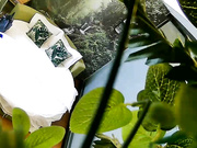 精品小旅馆绿叶房偷拍短小精干战斗力不错的眼镜小胖女友对他很满意完了还给他香吻