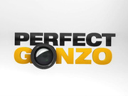 AssTraffic.18.11.08.Ally.Style