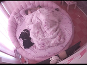 年轻情趣开房啪啪啪干完之后光着身子一边玩鸡巴一边唠嗑