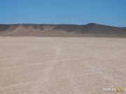 金伯 - 妖冶危险的女