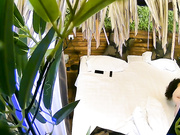 精品酒店绿叶房偷拍精壮帅哥和有夫之妇开房干到正爽来电话了累坏了我的哥