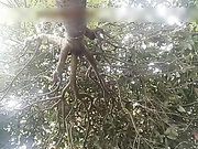 牛逼主播楠楠野外露出勾引摩的司机打野战（