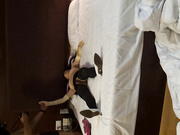 國內真實咪J-怪咖套路丰乳清純嫩妹至酒店 套穿各式性感絲襪多視角擺拍隨意抽插02