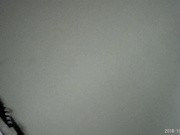 穿白色透明内极致女神完美身材和肥唇嫩穴让人疯狂