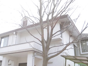 [JUY-166] 在你眼前被輪奸…你還愛我嗎？ 大島優香 - 1of5