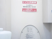 外站流出新系列貌似名牌购物商城的高级坐厕，偷拍都是些打扮时尚的气质颜值美女