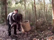 马赛克破坏版初音实IPZ-144