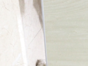 【全網首發】【最新廁拍】國內廁拍大神潛入某禮儀培訓機構女廁偷拍美女噓噓 有個高跟美女貌似在換衣服脫光了尿尿，15人次 稀缺資源勁爆收藏～原版高清