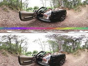 Love for Sale in Virtual Reality