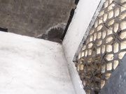 19年新作小县城菜市场旁边旱厕偷拍这么暴露的环境不知道怎么拍的