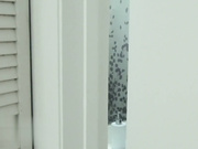 看似书呆子的亚洲小姐姐，没想到性交易后变得很狂野撩人——下半身狂扭抽插男伴，全程娇喘声不断